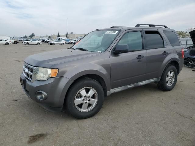 2010 Ford Escape XLT