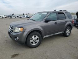 Ford Escape Vehiculos salvage en venta: 2010 Ford Escape XLT