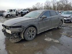 Salvage cars for sale at Ellwood City, PA auction: 2024 Hyundai Sonata SEL