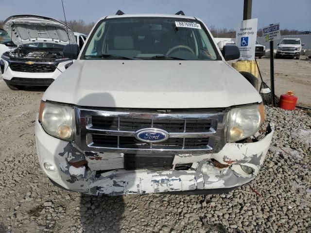 2010 Ford Escape XLT