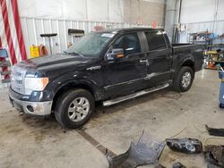 Ford f150 Supercrew salvage cars for sale: 2013 Ford F150 Supercrew