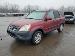 Honda crv Vehiculos salvage en venta: 2005 Honda CR-V EX