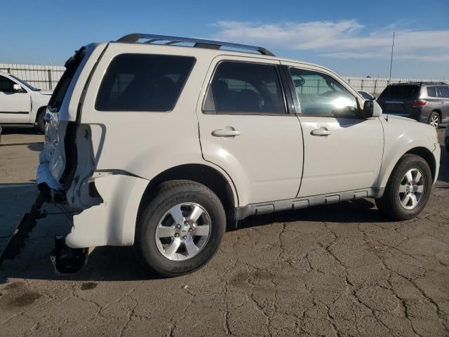 2010 Ford Escape Limited