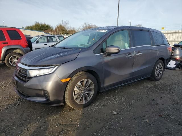 2023 Honda Odyssey EXL