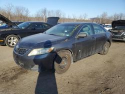 Toyota Camry Base salvage cars for sale: 2010 Toyota Camry Base