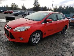 Salvage cars for sale at Graham, WA auction: 2012 Ford Focus SEL