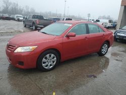 Toyota salvage cars for sale: 2010 Toyota Camry Base