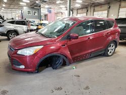 Ford salvage cars for sale: 2014 Ford Escape SE