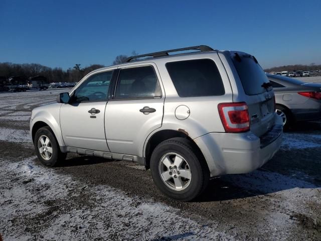 2011 Ford Escape XLT