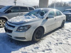 Salvage cars for sale from Copart Wayland, MI: 2009 Chevrolet Malibu 1LT