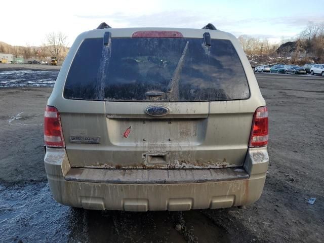 2011 Ford Escape XLT