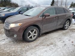 2010 Toyota Venza en venta en Bowmanville, ON