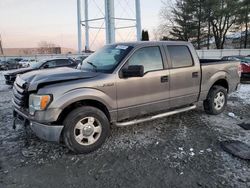 Salvage cars for sale at Windsor, NJ auction: 2009 Ford F150 Supercrew