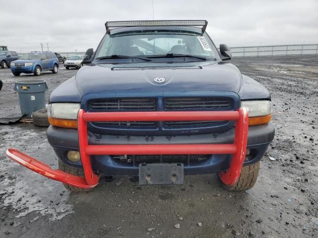 2003 Dodge Dakota Quad Sport