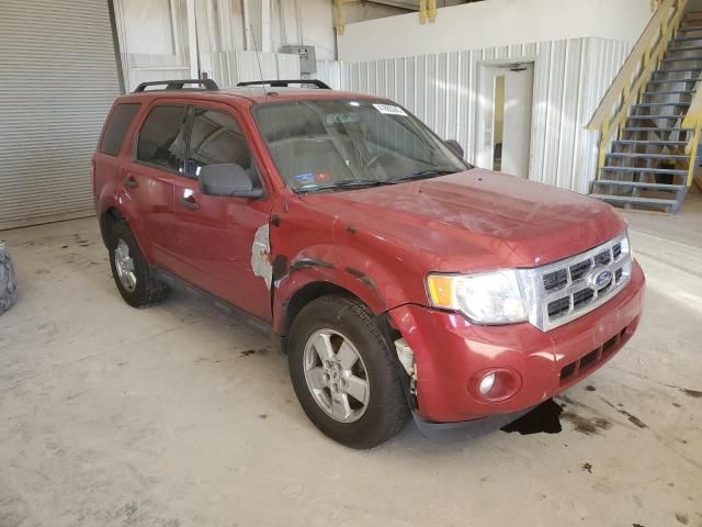 2010 Ford Escape XLT