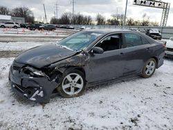 Salvage cars for sale at Columbus, OH auction: 2014 Toyota Camry L