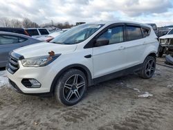 Ford Escape sel salvage cars for sale: 2019 Ford Escape SEL