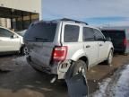 2009 Ford Escape XLT