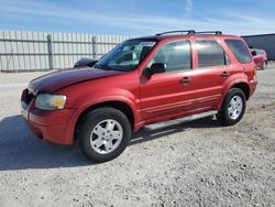 Salvage cars for sale at Arcadia, FL auction: 2007 Ford Escape XLT