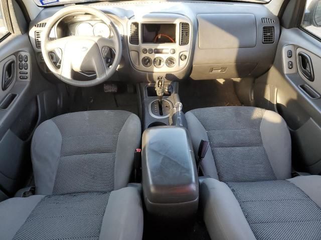 2005 Ford Escape XLT