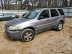 2007 Ford Escape XLT