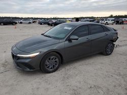 Hyundai Elantra salvage cars for sale: 2024 Hyundai Elantra SEL