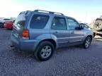 2007 Ford Escape HEV