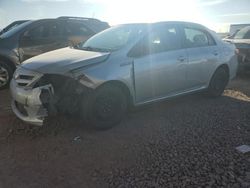 Salvage cars for sale at Phoenix, AZ auction: 2012 Toyota Corolla Base