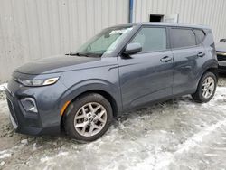 Vehiculos salvage en venta de Copart Waldorf, MD: 2021 KIA Soul LX