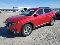 2023 Hyundai Tucson SEL en venta en Lumberton, NC