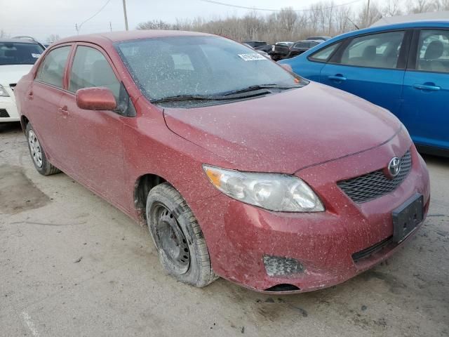 2009 Toyota Corolla Base