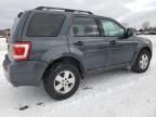 2009 Ford Escape XLT