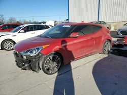 Salvage cars for sale at Lawrenceburg, KY auction: 2016 Hyundai Veloster Turbo