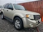 2010 Ford Escape XLT