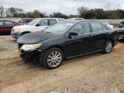 Salvage cars for sale at Theodore, AL auction: 2013 Toyota Camry SE