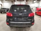 2007 Hyundai Santa FE SE