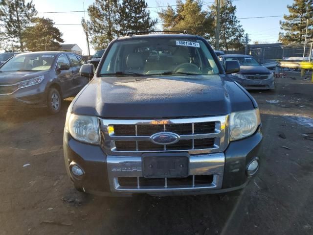 2008 Ford Escape HEV