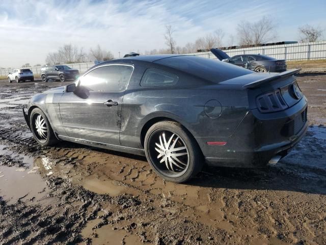 2013 Ford Mustang