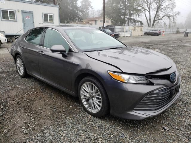 2020 Toyota Camry XLE