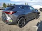 2024 Lexus NX 450H Luxury