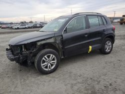 Salvage cars for sale at Eugene, OR auction: 2017 Volkswagen Tiguan S