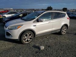 2013 Ford Escape SE en venta en Antelope, CA