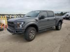 2018 Ford F150 Raptor