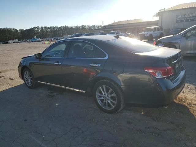 2010 Lexus ES 350