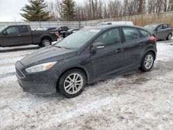 Clean Title Cars for sale at auction: 2017 Ford Focus SE