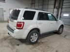 2009 Ford Escape Limited