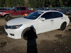 Salvage cars for sale at Graham, WA auction: 2013 Honda Accord EXL