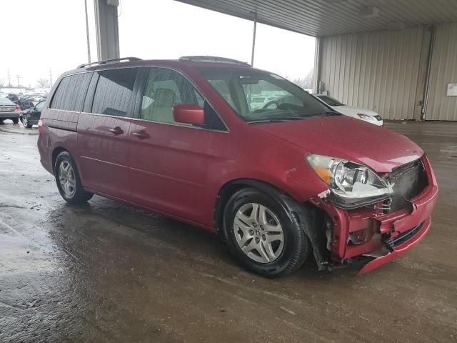 2005 Honda Odyssey EXL