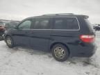 2007 Honda Odyssey EXL