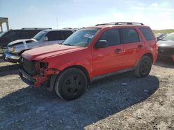 Salvage Cars with No Bids Yet For Sale at auction: 2009 Ford Escape XLT